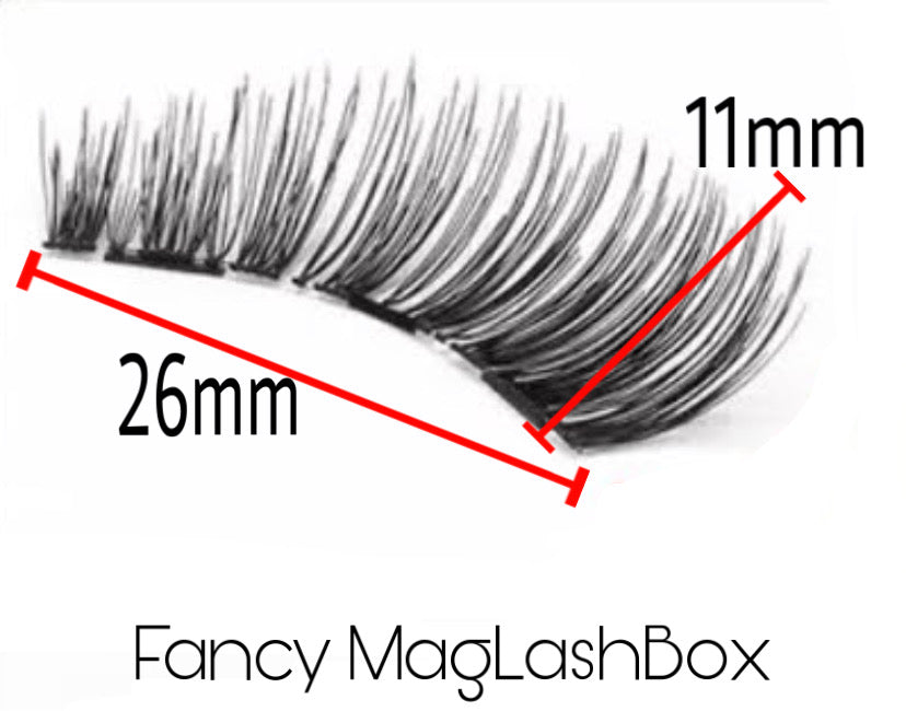 Fancy MagLashBox